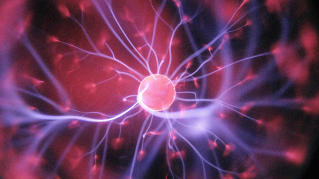 The Acetylcholine Loop: Why Citicoline & Alpha GPC Work Better Together